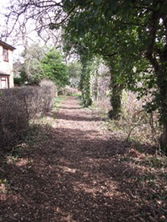 Burnt Ash Pond - historical