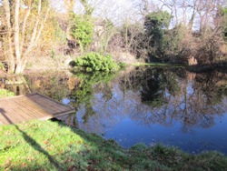 Burnt Ash Pond today