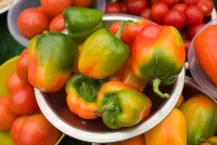 Catford markets peppers