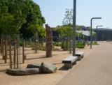 Fordham Park - tree sculpture by Richard Lawrence (c) The Landscape Partnership