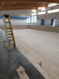 Empty swimming pool with a ladder to the side.