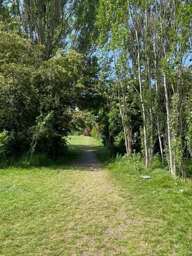 A photo of a green space at Lewisham Park