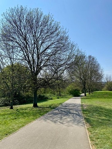 image of mountsfield park