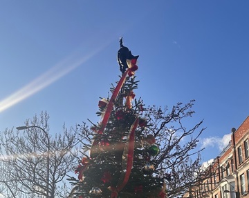 Join a Christmas tree light switch-on near you