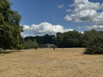 Drought status declared for London