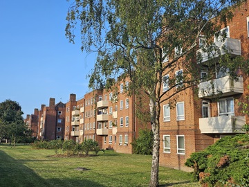Lewisham Council plans to buy 74 more homes for local homeless families