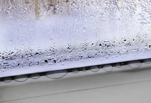 Condensation forming droplets of water on a window
