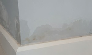 Damp patches on a wall just above the skirting board